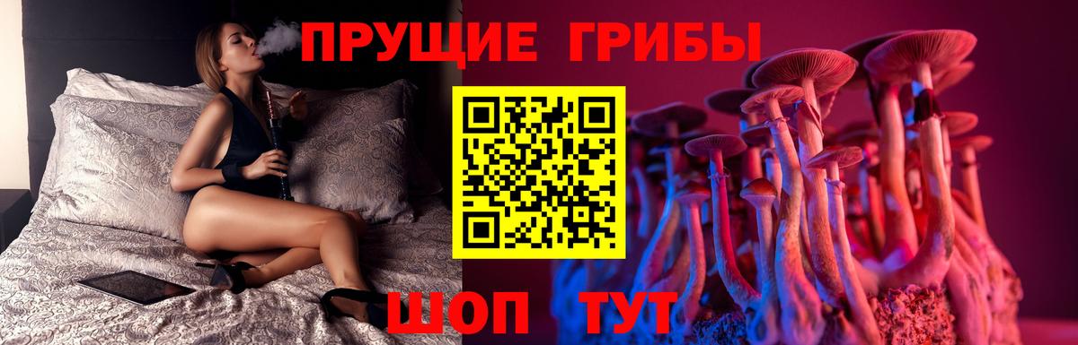 дарнет шоп  Галлюциногенные грибы Psilocybe  Вход с VPN  Тулун 